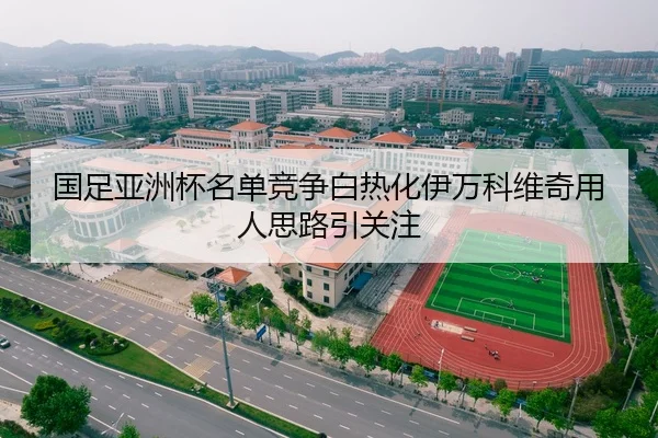 国足亚洲杯名单竞争白热化伊万科维奇用人思路引关注